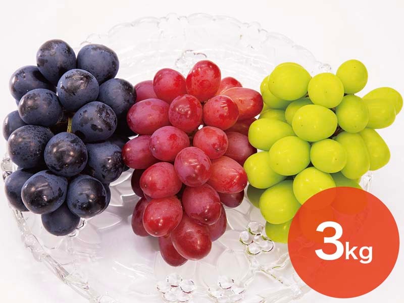 【3種セットA】プレミアムスリー約3kg(5～8房)【宅配贈答専用】