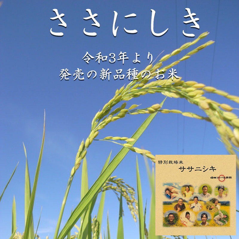 「ささにしき」 15kg(5kg×3)■送料無料(沖縄・離島除く)