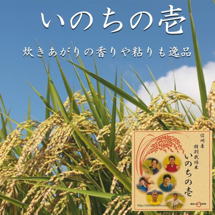 「いのちの壱」　20kg（5kg×4）