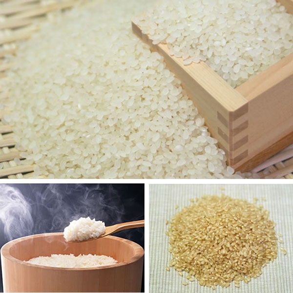 「浅間こし」 農薬・化学肥料不使用米 15kg(5kg×3)