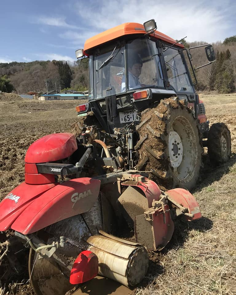 「浅間こし」　農薬・化学肥料不使用米　20kg（5kg×4）