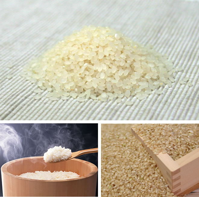 若いお百姓が作ったお米　10kg（5kg×2）