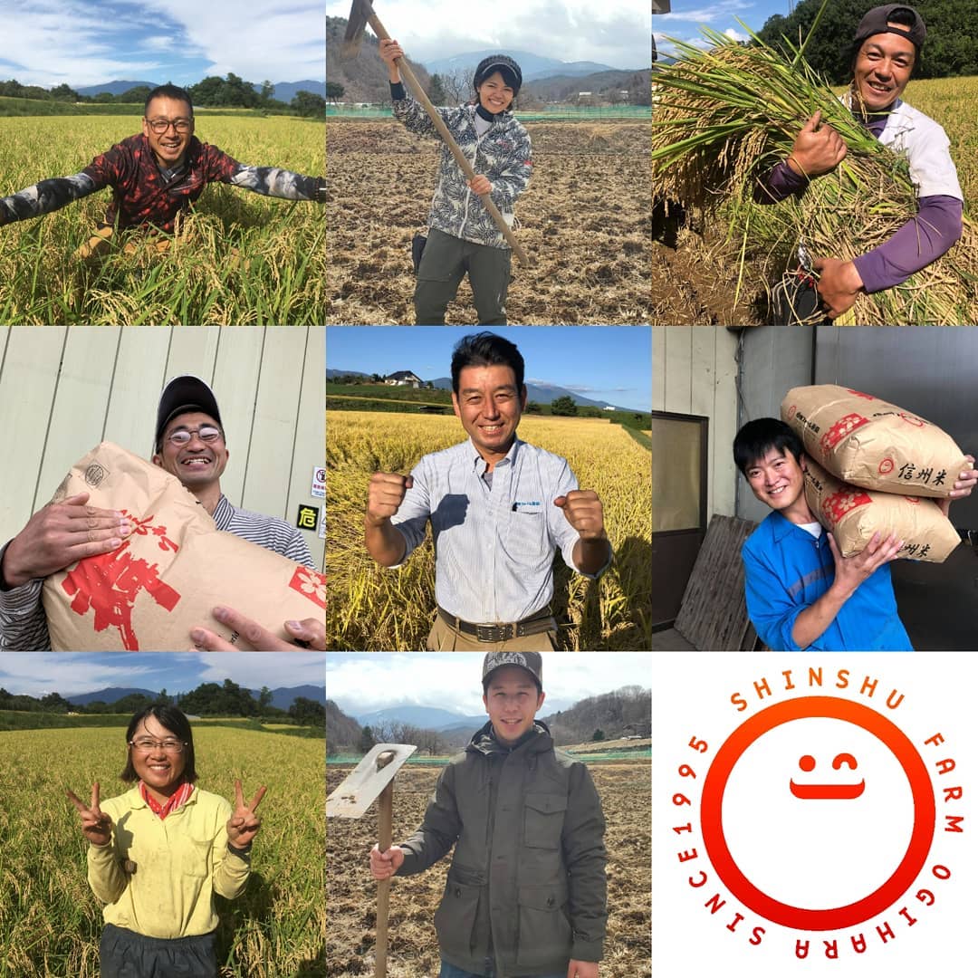 若いお百姓が作ったお米　10kg（5kg×2）