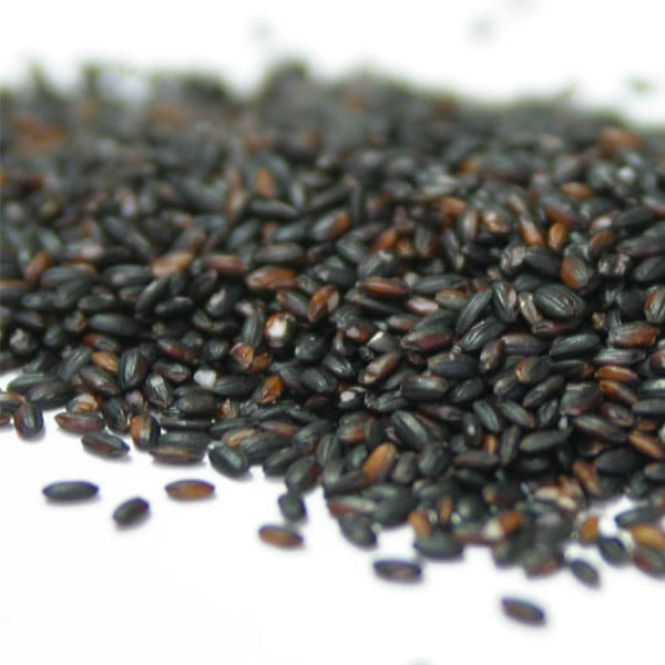 荻原さんが作った黒米 200g