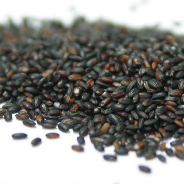 荻原さんが作った黒米　1kg　【お徳用】