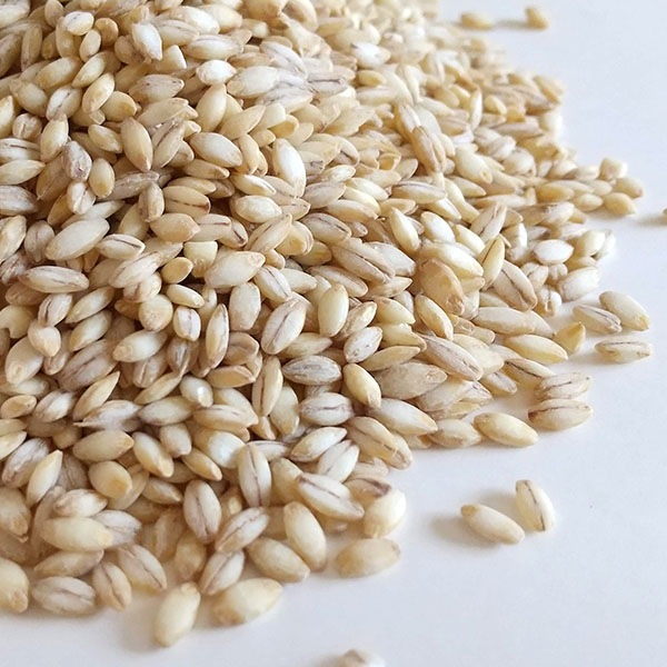 【農場直送】もち麦　1㎏