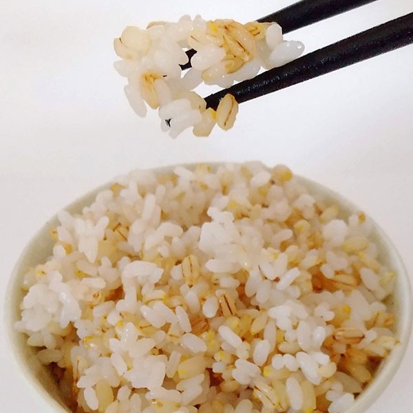 【残留農薬ゼロ！】 信州もち麦パックごはん 　150g