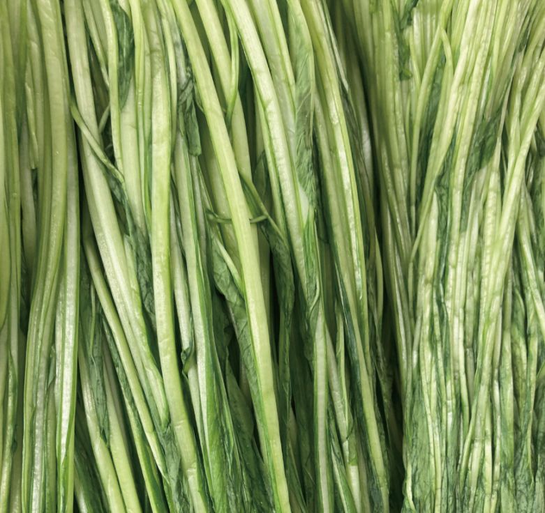 壬生菜漬（240g）｜京都の壬生菜漬け｜御漬物司 林慎太郎商店