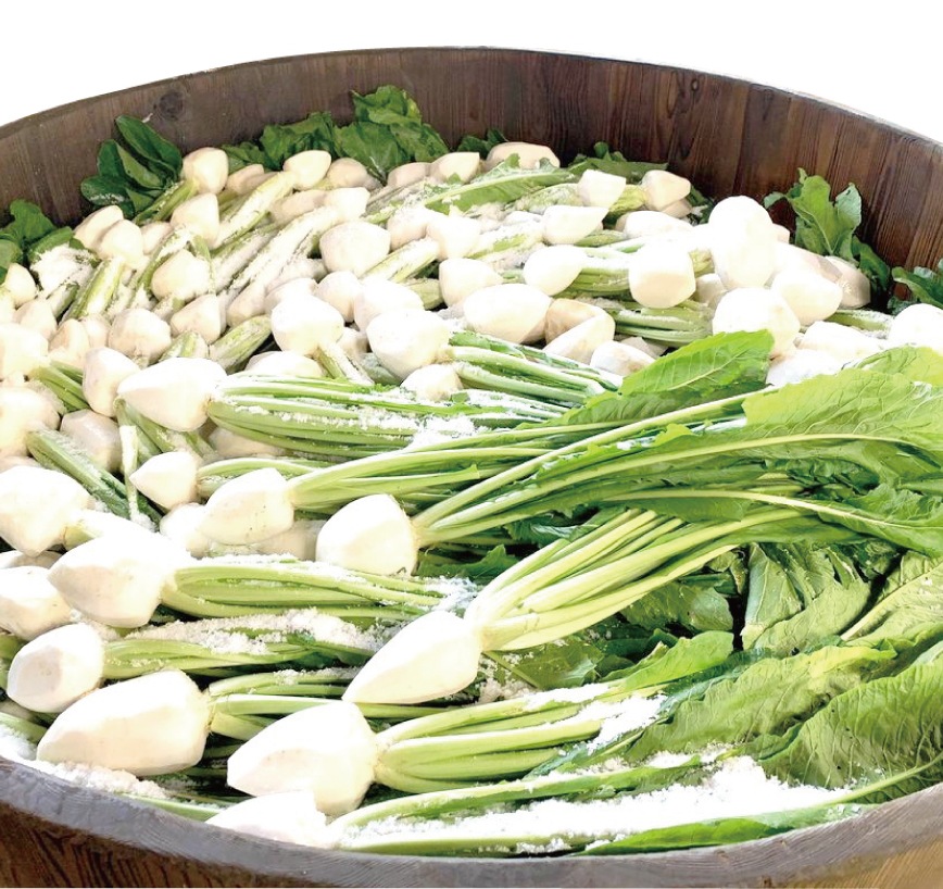 送料無料（一部地域）京都 すぐき漬【姿漬】5個詰合せ 1,500g｜桶出し非加熱・無添加｜京漬物 ご進物