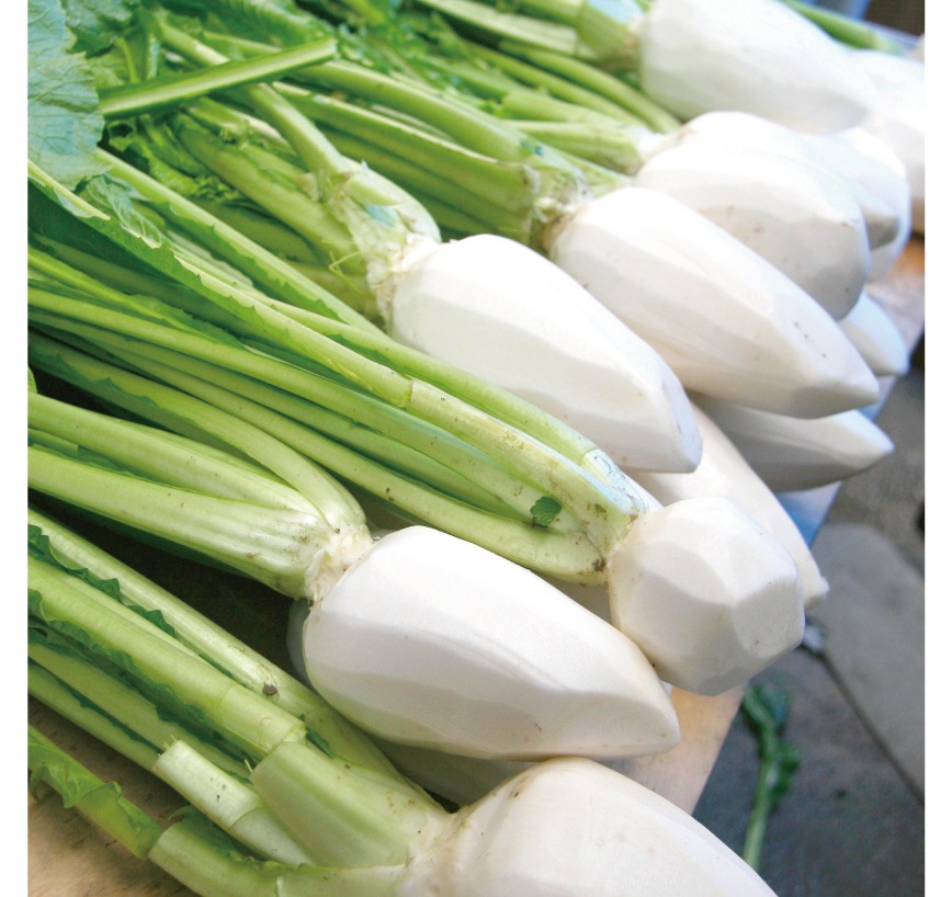 送料無料（一部地域）京都 すぐき漬【姿漬】5個詰合せ 1,500g｜桶出し非加熱・無添加｜京漬物 ご進物