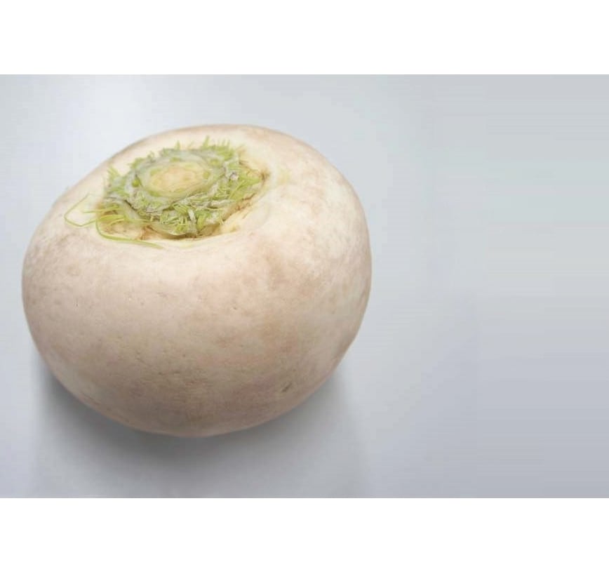 聖護院かぶら千枚漬（130g）｜京都の冬の千枚漬け｜御漬物司 林慎太郎商店