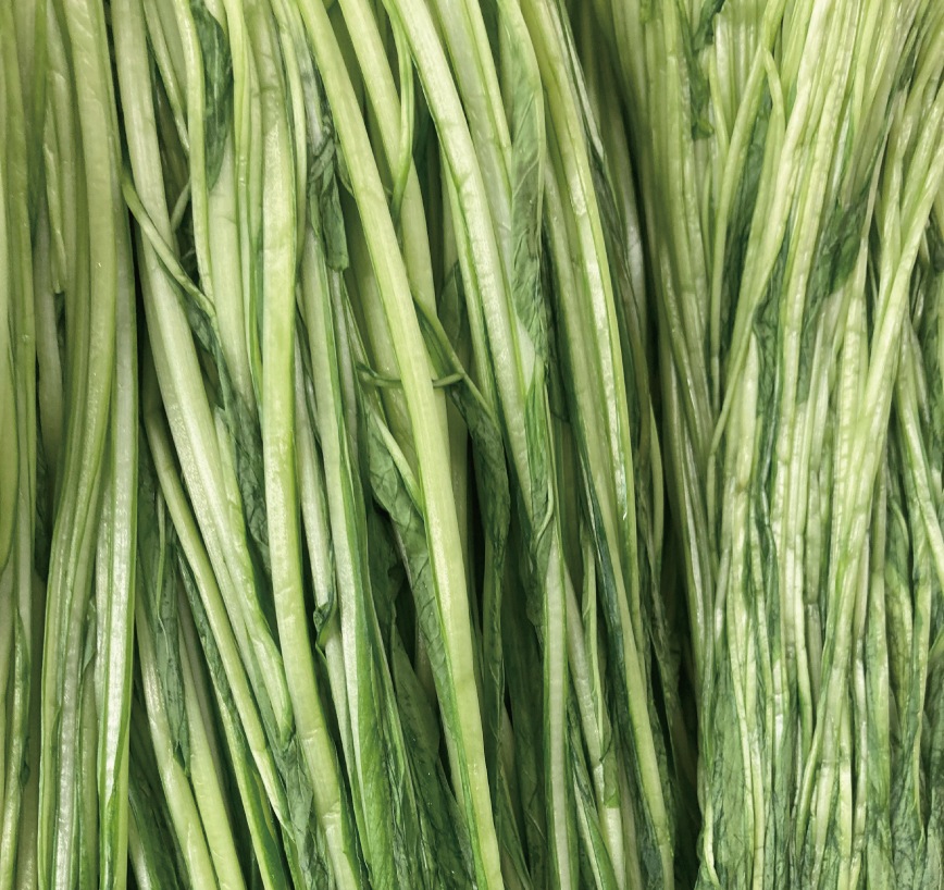 壬生菜漬（110g）｜京都の壬生菜漬け｜御漬物司 林慎太郎商店