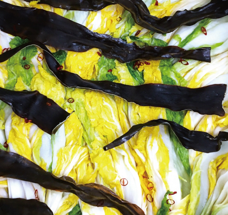 白菜ぬか漬（浅漬かり）250g｜京都のぬか漬け｜御漬物司 林慎太郎商店