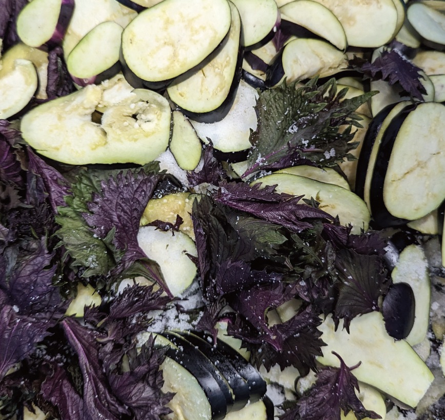 しば漬（建礼門院）68g｜京都のしば漬｜御漬物司 林慎太郎商店