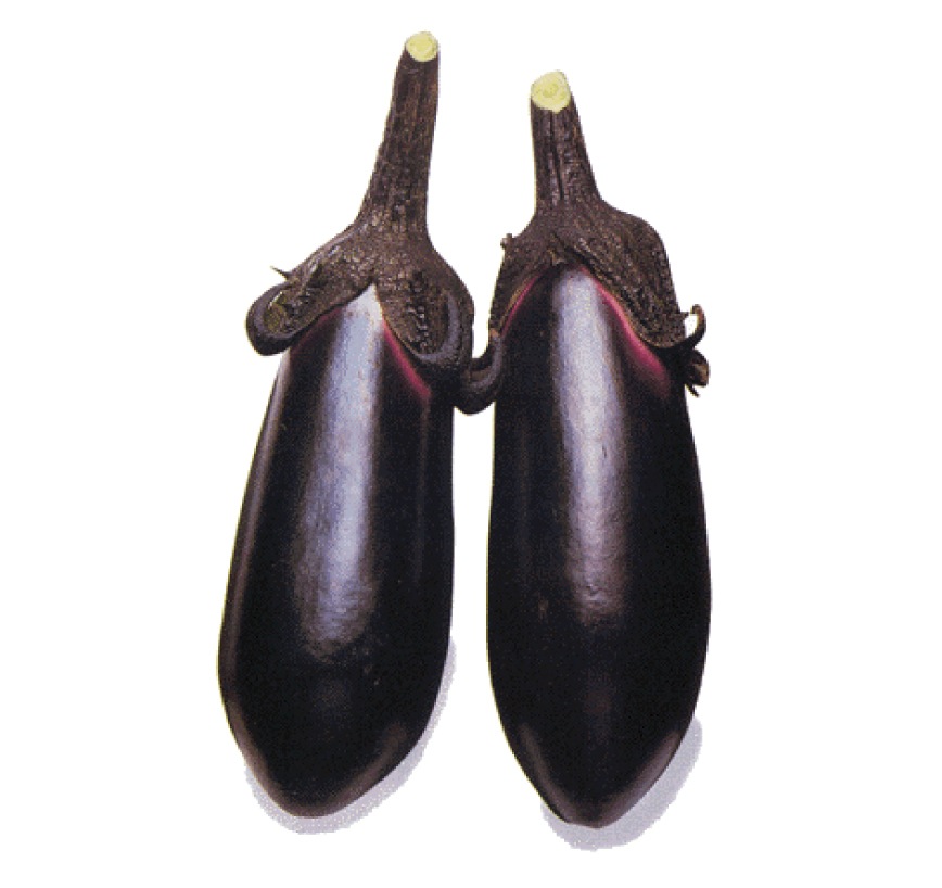 しば漬（建礼門院）68g｜京都のしば漬｜御漬物司 林慎太郎商店