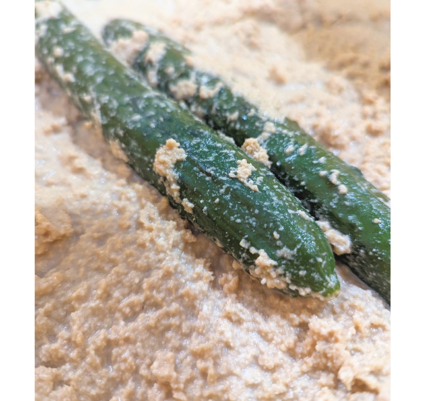 ご存じ胡瓜ぬか漬｜京都の胡瓜ぬか漬 5本組｜乳酸発酵・無添加｜御漬物司 林慎太郎商店