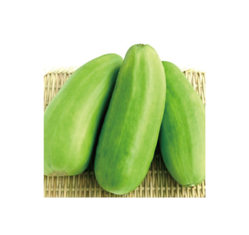夏の青うり漬｜夏限定の京漬物｜さっぱり涼やか・無添加｜御漬物司 林慎太郎商店