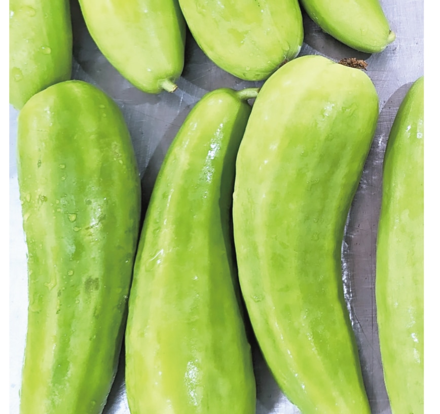 夏の青うり漬｜夏限定の京漬物｜さっぱり涼やか・無添加｜御漬物司 林慎太郎商店