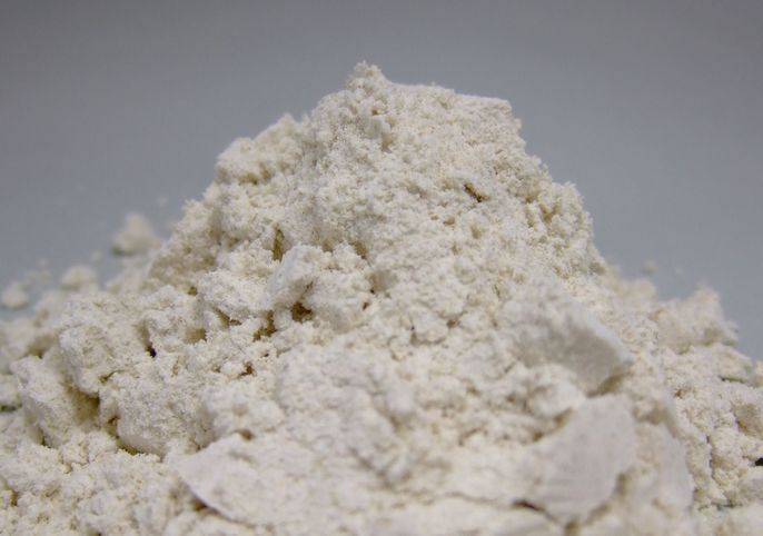 �̳�ƻ������ �б��Ԥ�����ʴ 1kg