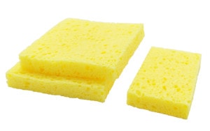 ������  ����  ������  �ϥ�ǥ��ϤĤ��ϵ���