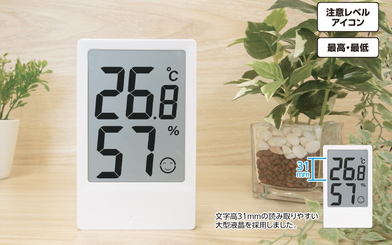 �ǥ����벹���ٷ�  ��  ���Ʒ�  �ǹ⡦����  �ۥ磻��