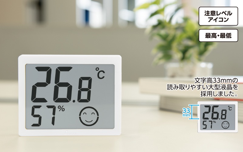 �ǥ����벹���ٷ�  ��  �緿  �ǹ⡦����  �ۥ磻��