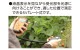 �ǥ�������ٷ�  ���ѥ졼�ȼ�