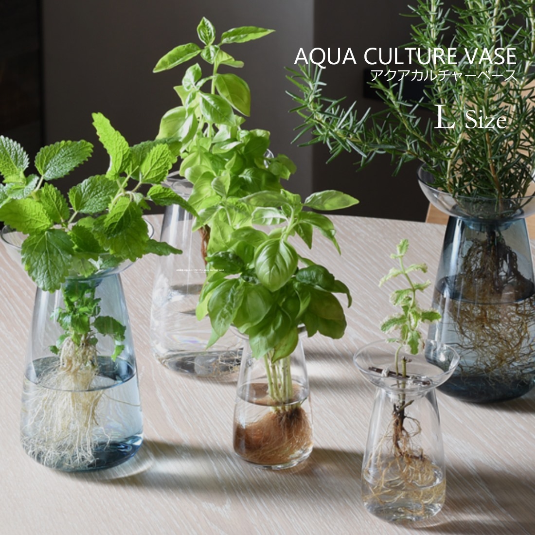 ��KINTO/����ȡ�AQUA CULTURE VASE L��������������������㡼�١���<br>�ե��١���/����/ȭ����/����ƥꥢ/��ʪ/�ִ�/¿����ʪ/�庬/���� /��̺���/����ƥꥢ/���ե� �ڥ���ӥ˼����б����ʡۡ�RCP��