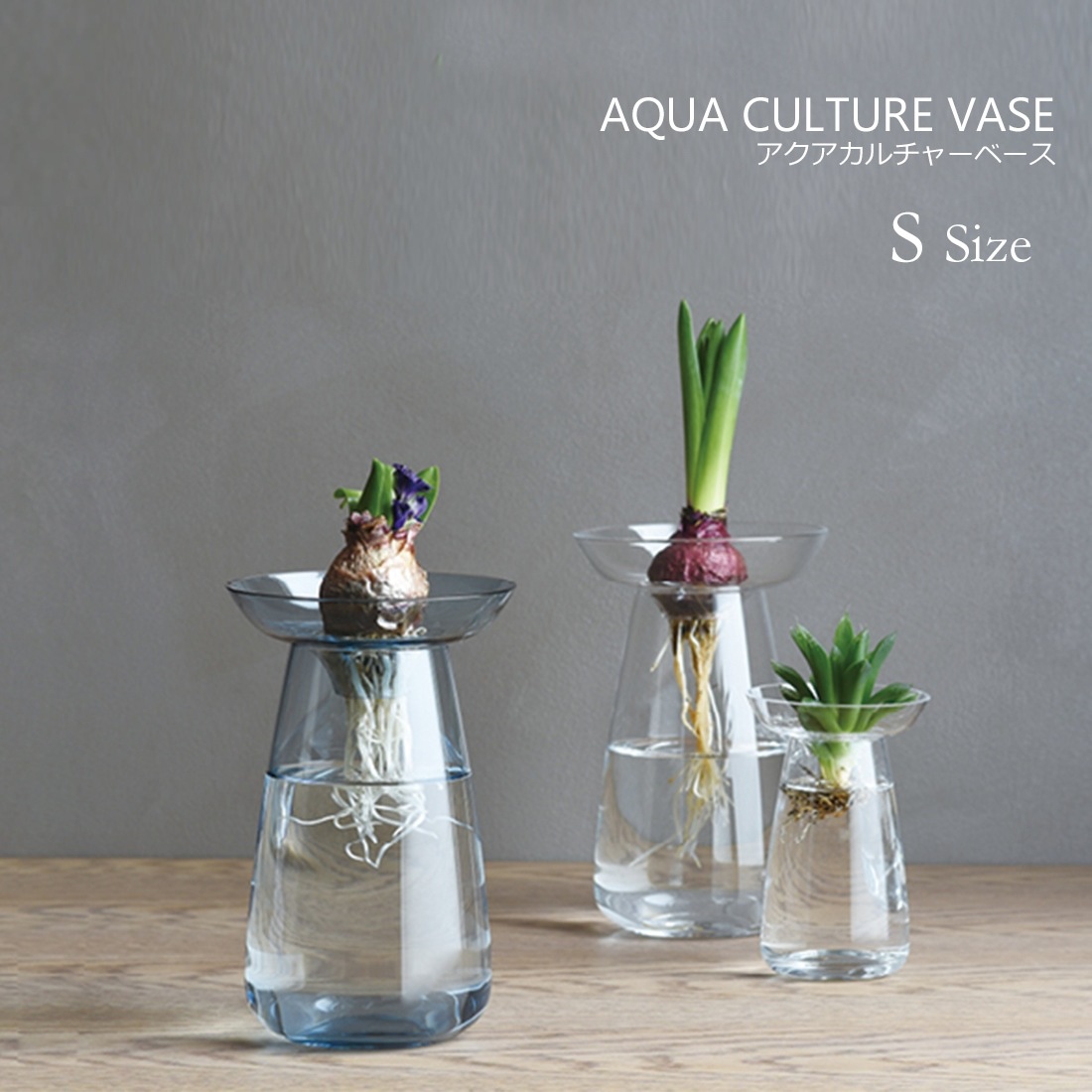 ��KINTO/����ȡ�AQUA CULTURE VASE S��������������������㡼�١���<br>�ե��١���/����/ȭ����/����ƥꥢ/��ʪ/�ִ�/¿����ʪ/�庬/���� /��̺���/����ƥꥢ/���ե� 