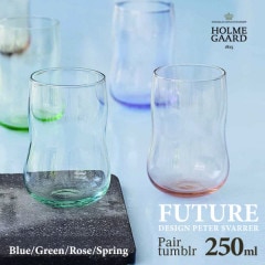 HOLMEGAARD ۥ६ FUTURE ֥顼 250ml 顼ñ<br>ԡ PETER SVARRER 饹  ̲ڥӥ˼бʡۡRCP