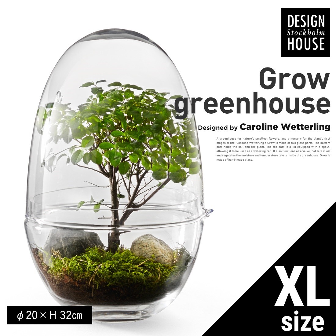 Design House Stockholm ǥϥȥåۥGrow GREENHOUSE  clear XL<br> ꡼ϥ ꥢ 饹L ȭ ȭ ̲ Vase ӡڥӥ˼бʡۡRCP