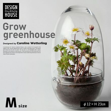 ��Design House Stockholm �ǥ�����ϥ������ȥå��ۥ���Grow GREENHOUSE  clear L<br>������ ���꡼��ϥ��� ���ꥢ ���饹��M ȭ ����ȭ �̲� Vase ���ӡڥ���ӥ˼����б����ʡۡ�RCP��