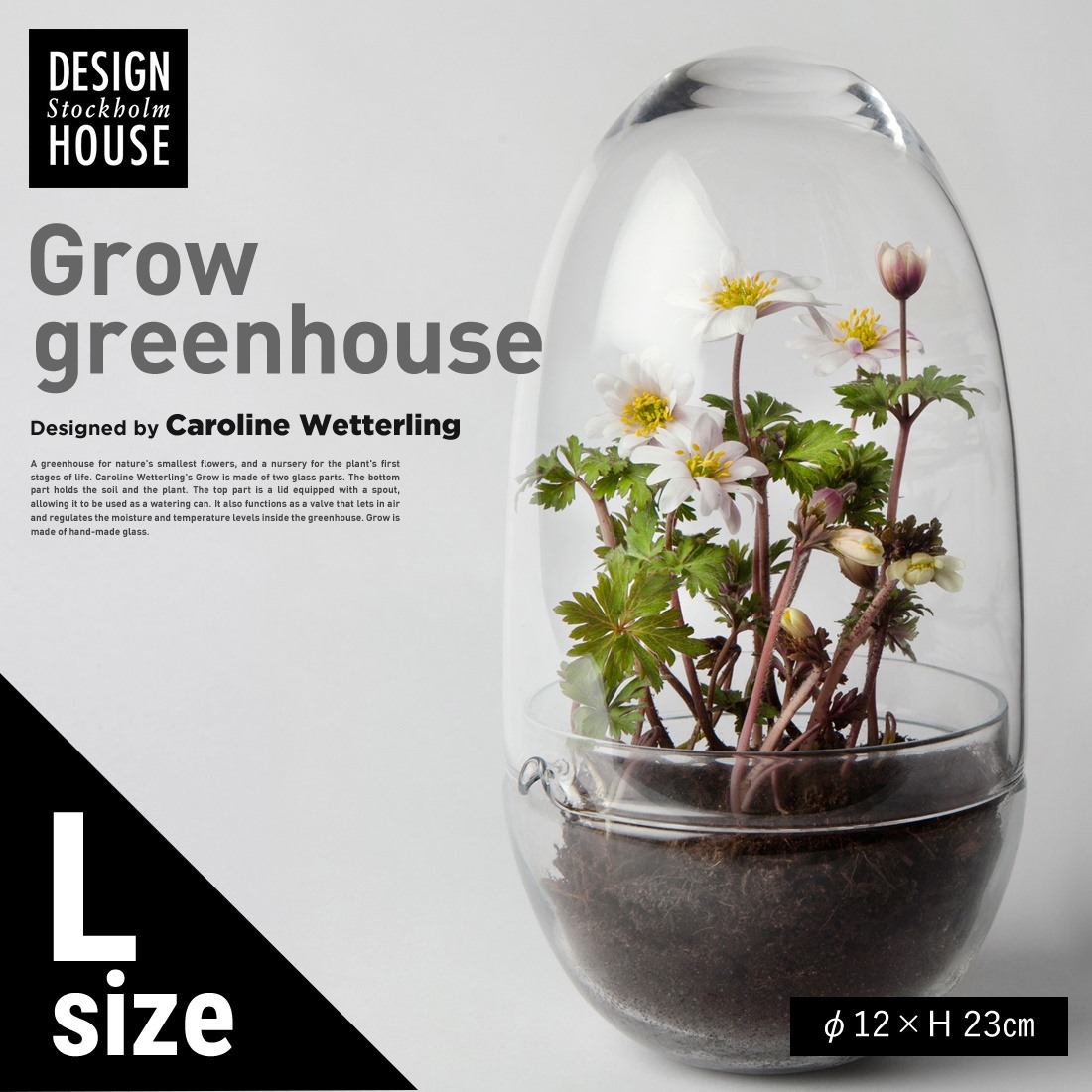 Design House Stockholm ǥϥȥåۥGrow GREENHOUSE  clear L<br> ꡼ϥ ꥢ 饹L ȭ ȭ ̲ Vase ӡڥӥ˼бʡۡRCP