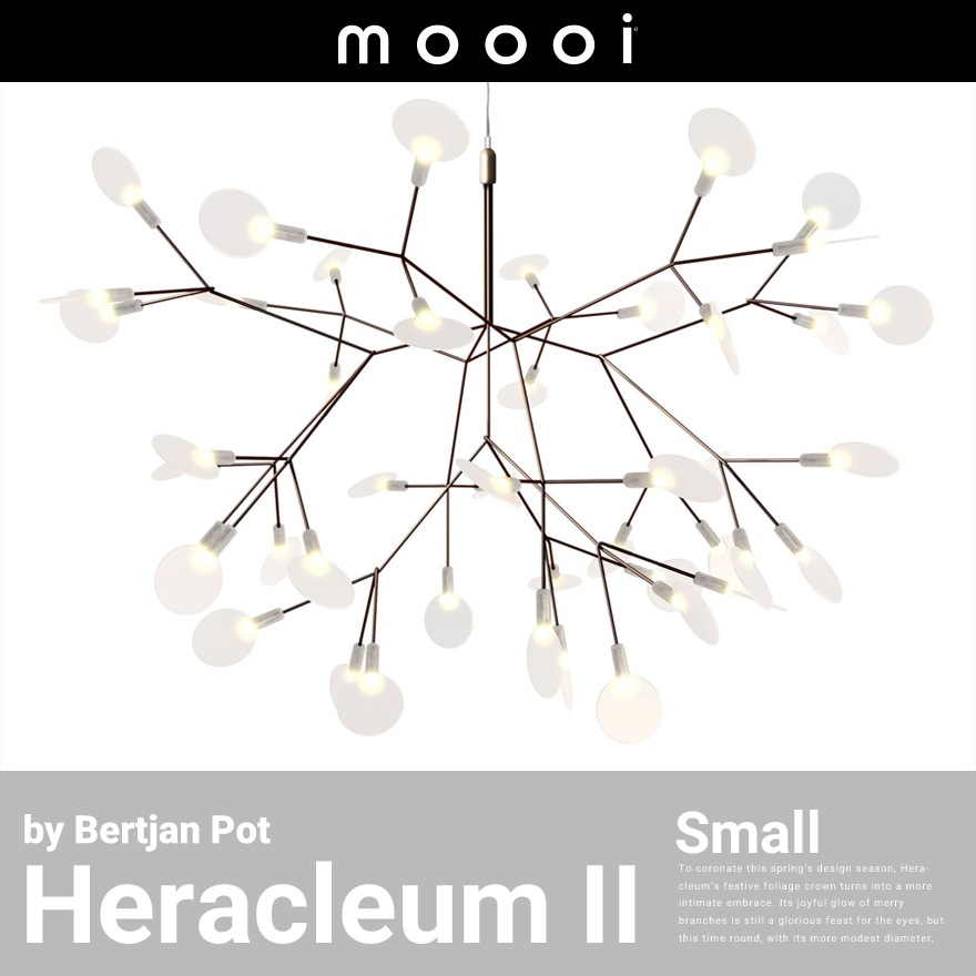 ڥݥԲġۡԲġۡmoooi/⡼Heracleum 2S إ饯쥦2S<br>Bertjan Pot/SFHL-HERACLEUM2ES/ڥȥ饤ȡRCP