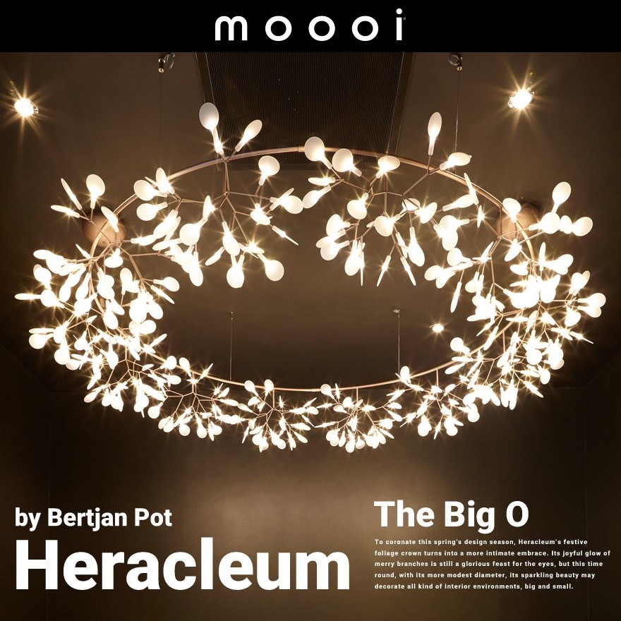 ڥݥԲġۡԲġۡmoooi/⡼Heracleum Big O إ饯쥦 ӥå<br>Bertjan Pot/SFHL-HERACLEUM-BIG/ڥȥ饤/祵RCP