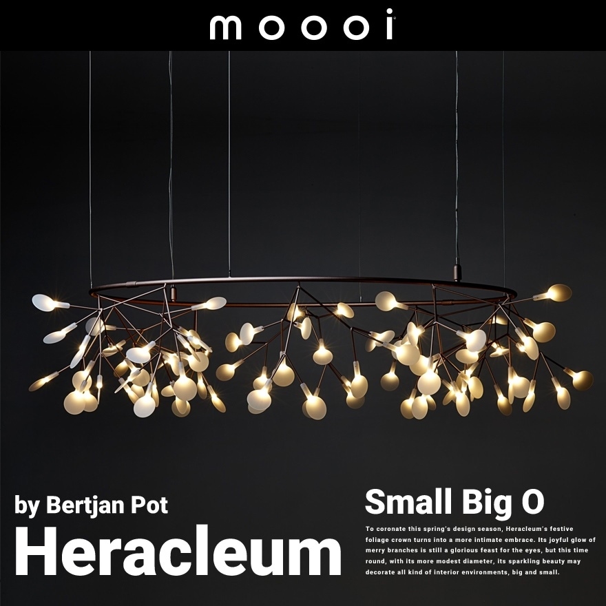 ڥݥԲġۡԲġۡmoooi/⡼Heracleum Small Big O إ饯쥦 ⡼ӥå<br>Bertjan Pot/SFHL-HERACLEUM-SBO NIC/ڥȥ饤/祵RCP