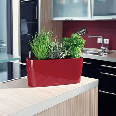 ��Lechuza ����塼���ۥǥ�����ץ�󥿡� Lechuza ����塼�� Windowsill ������ɥ����� WIN-4018 ��7�����顼�Хꥨ��������RCP��