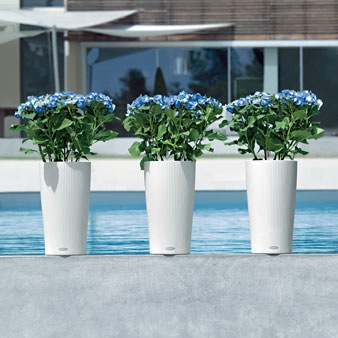 ��Lechuza ����塼���ۥǥ�����ץ�󥿡� Lechuza ����塼��  Cilindoro Loft �����ɥ� ���ե� CIL-1023 ��3�����顼�Хꥨ��������RCP��