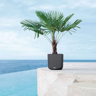 ��Lechuza ����塼���ۥǥ�����ץ�󥿡� Lechuza ����塼��  Cottage Cube ���ơ��������塼�� COC-3944 ��3�����顼�Хꥨ��������RCP��