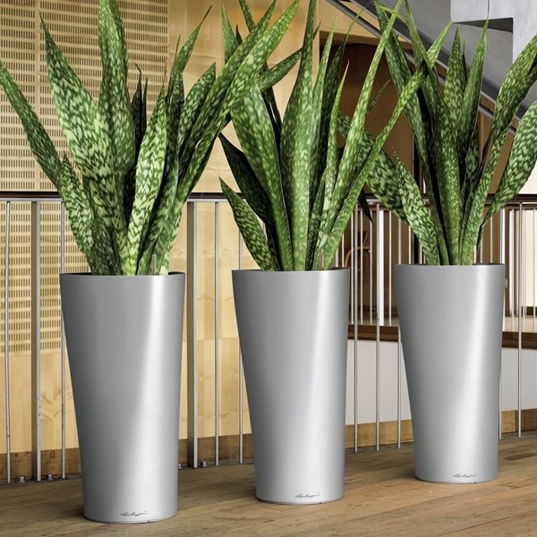 ��Lechuza ����塼���ۥǥ�����ץ�󥿡� Lechuza ����塼��  Delta �ǥ륿 DEL-3056 ��3�����顼�Хꥨ��������RCP��