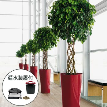 【Lechuza レチューザ】【灌水装置付き】デザインプランター Lechuza レチューザ  Delta デルタ DEL-4075 全3色カラーバリエーション【RCP】