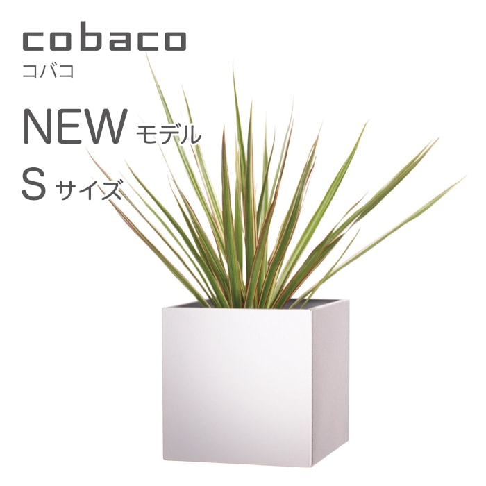 【nidoニド】hacotoco ハコトコ cobaco コバコ C351S Sサイズ 6 color variation 【RCP】
