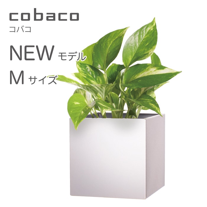 【nidoニド】hacotoco ハコトコ cobaco コバコ C351M Mサイズ 6 color variation 【RCP】