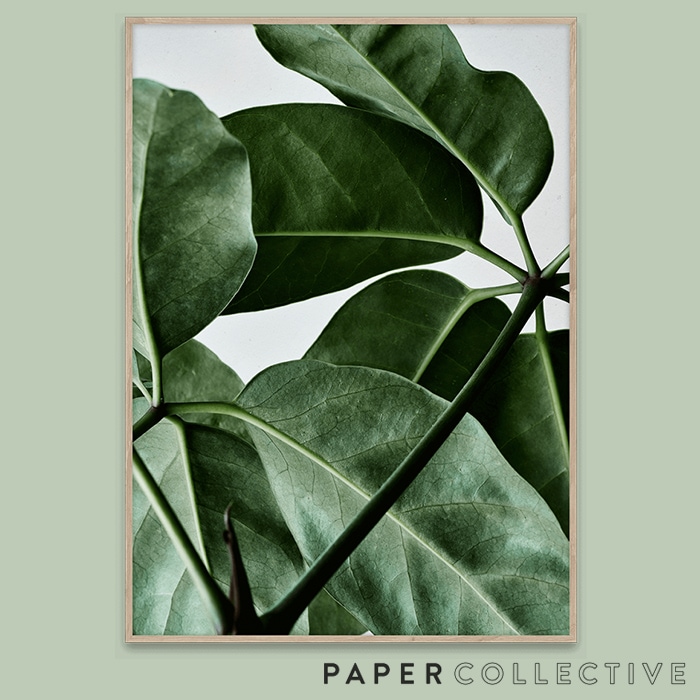 PAPER COLLECTIVE】GREEN HOME 01/グリーンホーム01 50x70cm 08107<br