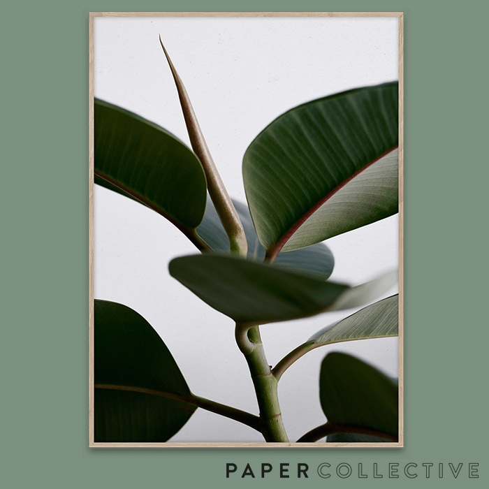 【PAPER COLLECTIVE】GREEN HOME 02/08108グリーンホーム02　50x70cm<br>ペーパーコレクティブ/Riikka Kantinkoski/葉/観葉植物/ポスター/北欧/インテリア<br>【コンビニ受取対応商品】【RCP】