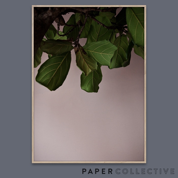 【PAPER COLLECTIVE】GREEN LEAVES/グリーンリーブス 07120　50x70cm<br>ペーパーコレクティブ/Norm Architects/ノームアーキテクツ/ポスター/葉/北欧/インテリア<br>【コンビニ受取対応商品】【RCP】