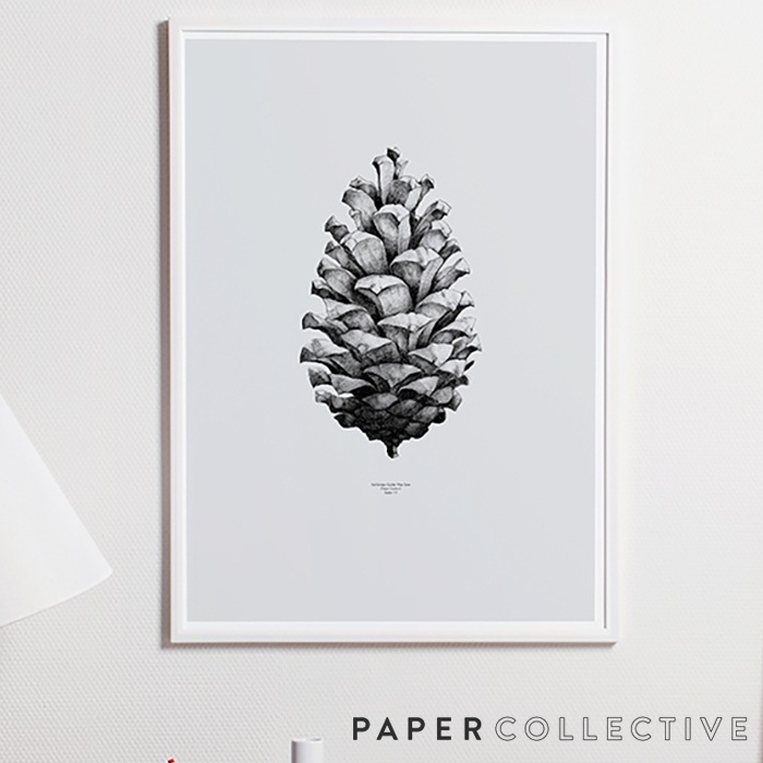 PAPER COLLECTIVEۥѥ󥳡 ܤä/졼0400150x70cm PIN CONEڡѡ쥯ƥ