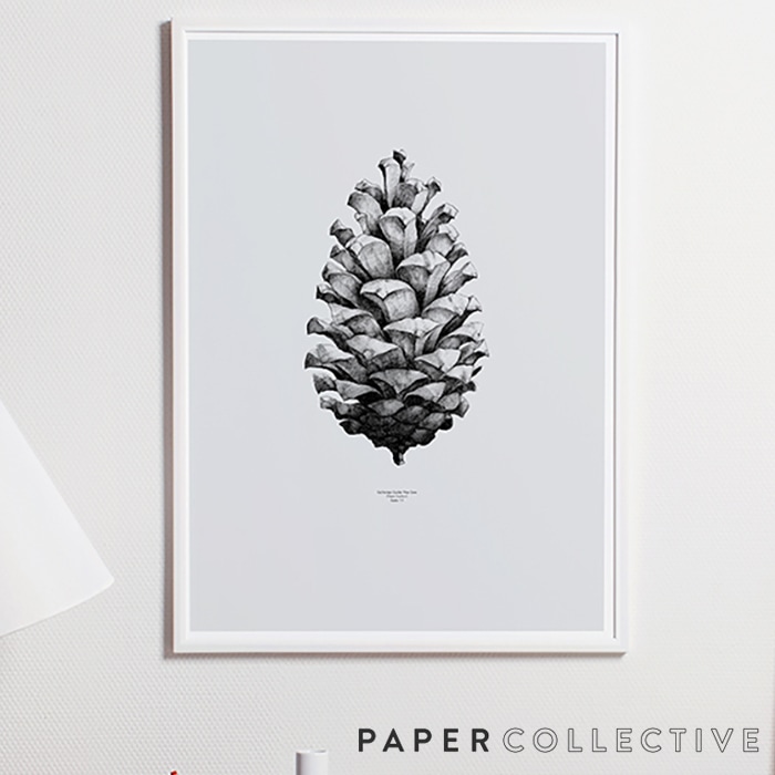 【PAPER COLLECTIVE】パインコーン 松ぼっくり/グレー04001　50x70cm PIN CONE　ペーパーコレクティブ