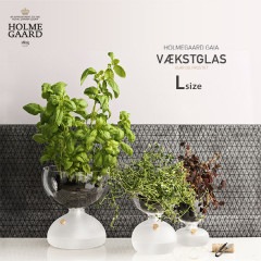 HOLMEGAARD �ۥ�६���� GAIA PLANT GLASS ������ �ץ��ȥ��饹��21.5cm L������<br>ARIC SNEE ���ꥢ �ե����� ���饹 �Х��� �ϡ��� �ץ�󥿡� ���տ�ʪ ��� 4343823<br>�ڥ���ӥ˼����б����ʡۡ�RCP��
