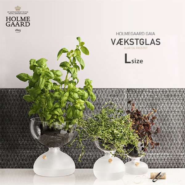 HOLMEGAARD ホルムガード GAIA PLANT GLASS ガイア プラントガラスΦ21.5cm Lサイズ<br>ARIC SNEE クリア フロスト ガラス バジル ハーブ プランター 観葉植物 園芸 4343823<br>【コンビニ受取対応商品】【RCP】